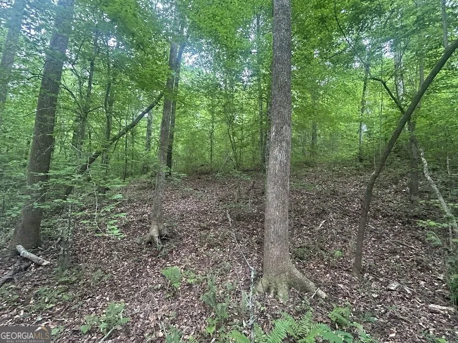 236 RiverSong (Tract 8) Carrollton, GA 30117