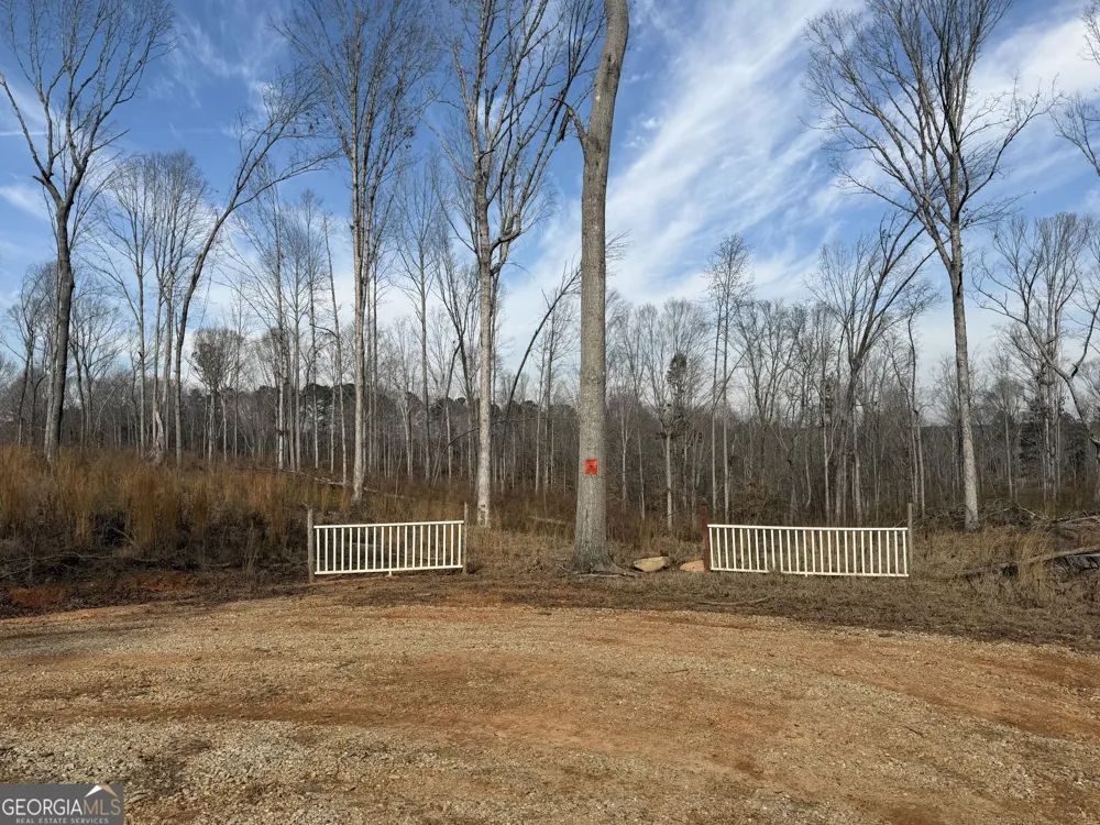 275 Emma Cooper RD Carlton, GA 30627