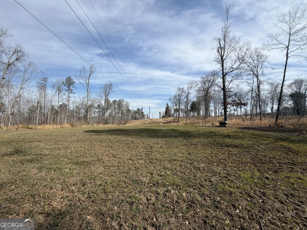 275 Emma Cooper RD Carlton, GA 30627