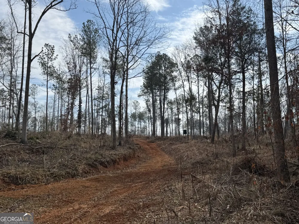275 Emma Cooper RD Carlton, GA 30627