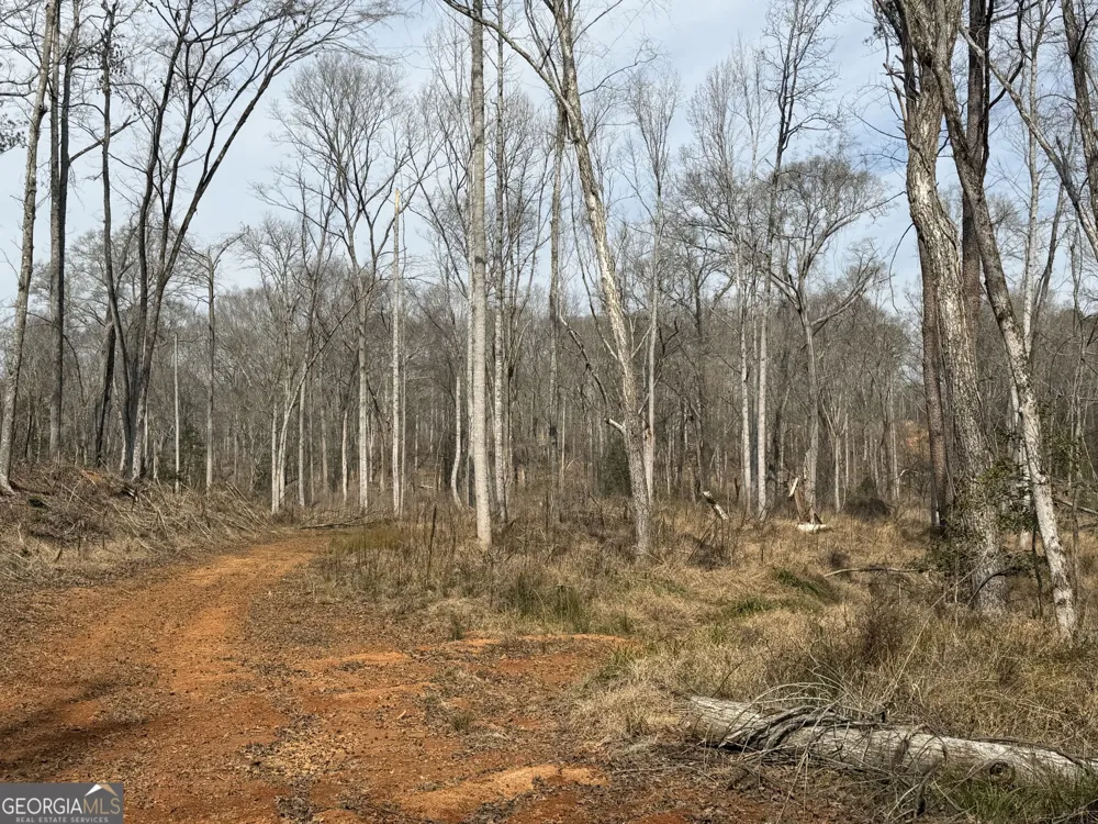 275 Emma Cooper RD Carlton, GA 30627