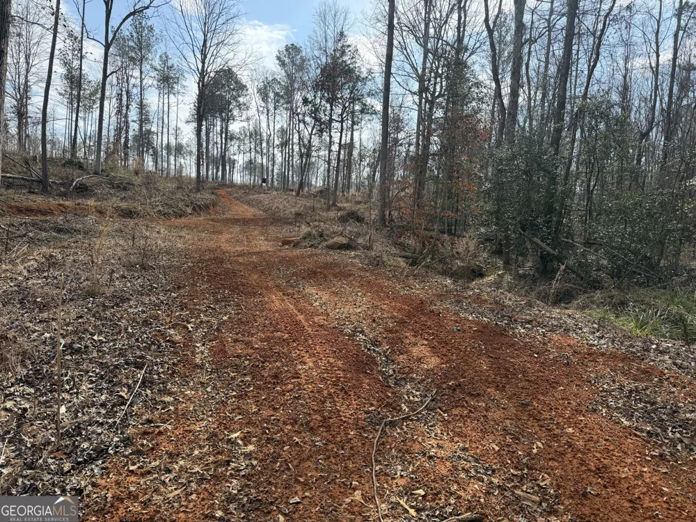 275 Emma Cooper RD Carlton, GA 30627