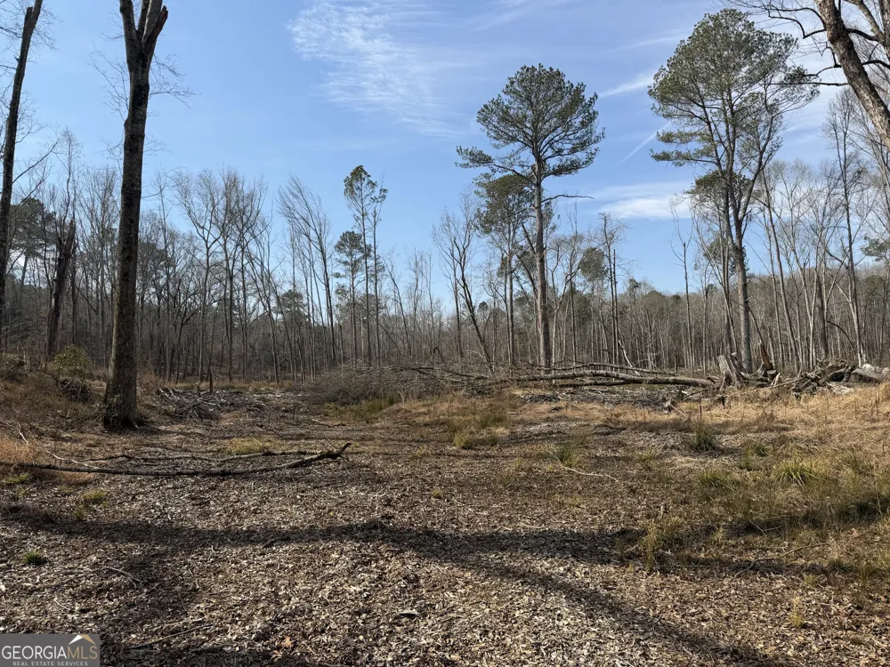 275 Emma Cooper RD Carlton, GA 30627