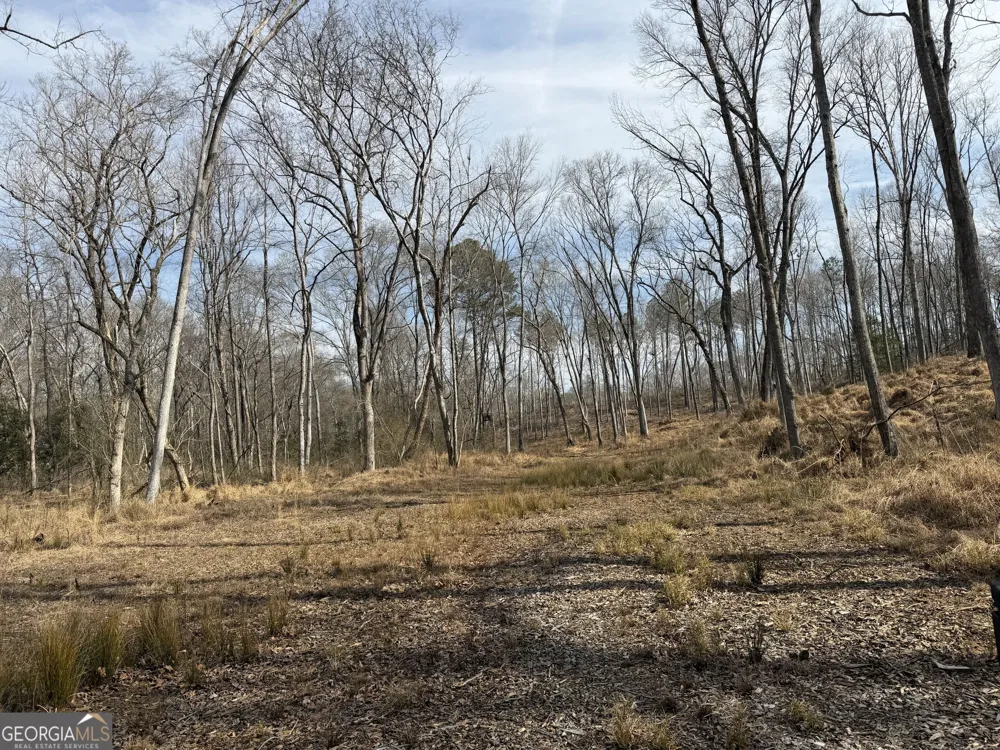 275 Emma Cooper RD Carlton, GA 30627
