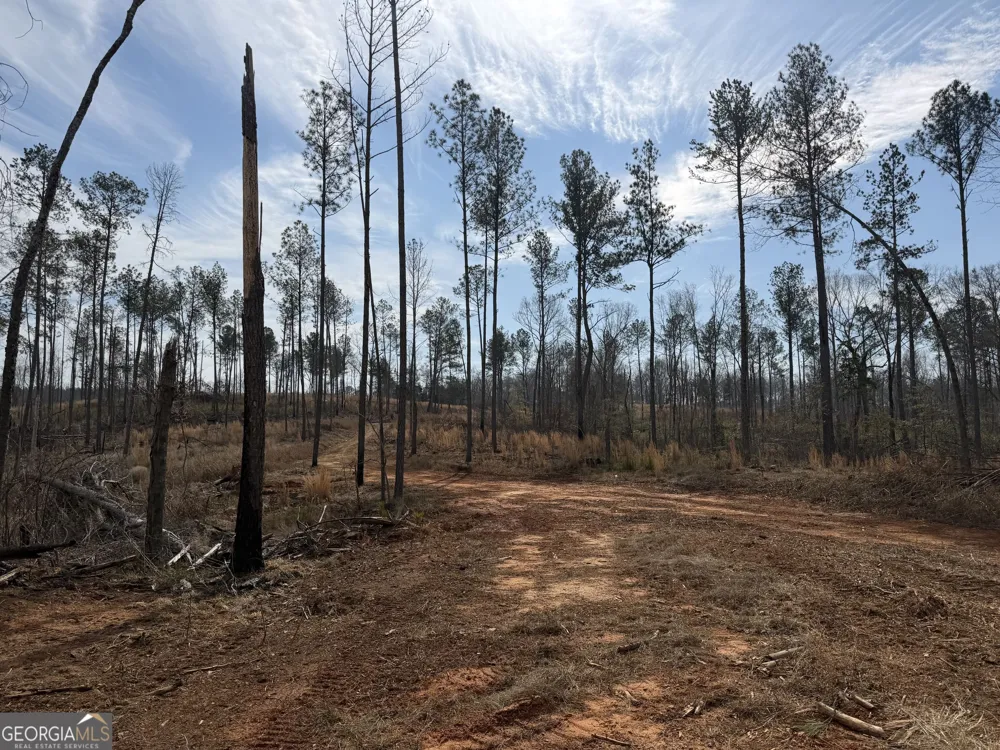 275 Emma Cooper RD Carlton, GA 30627