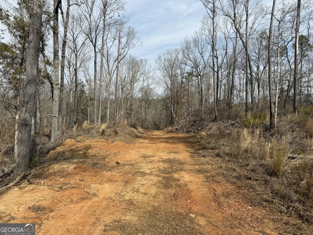275 Emma Cooper RD Carlton, GA 30627