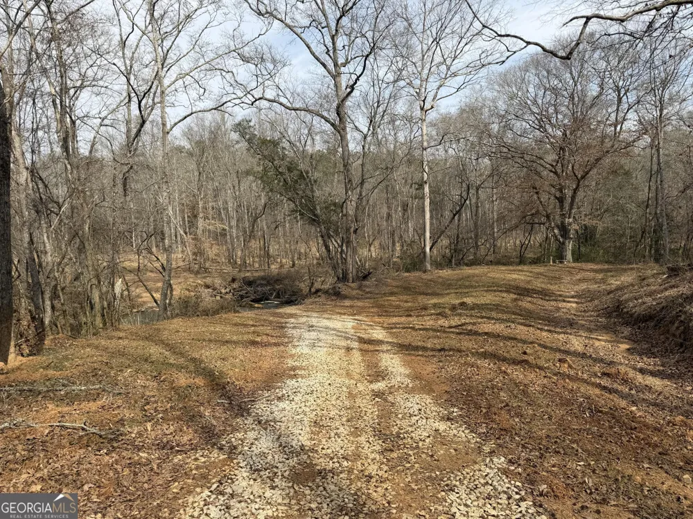 275 Emma Cooper RD Carlton, GA 30627