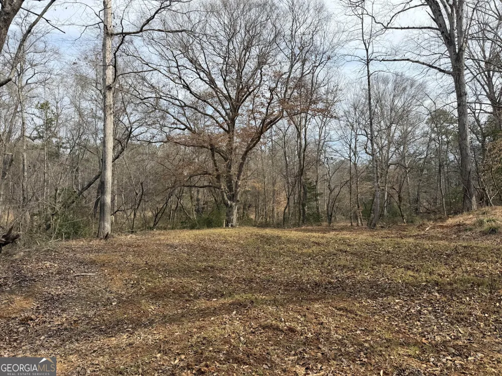 275 Emma Cooper RD Carlton, GA 30627