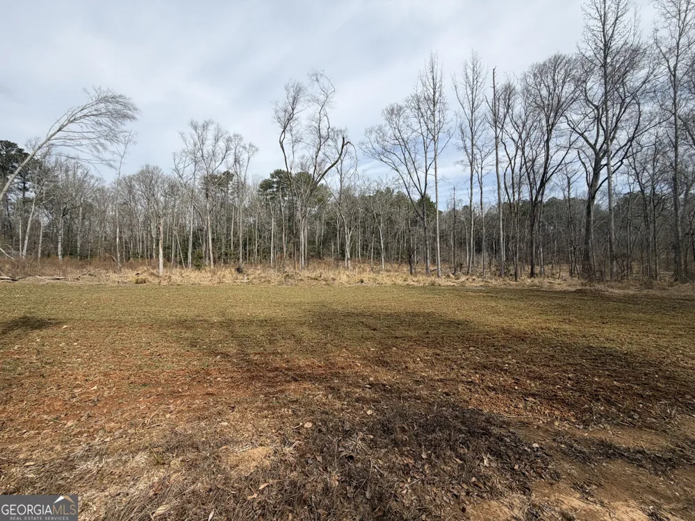275 Emma Cooper RD Carlton, GA 30627