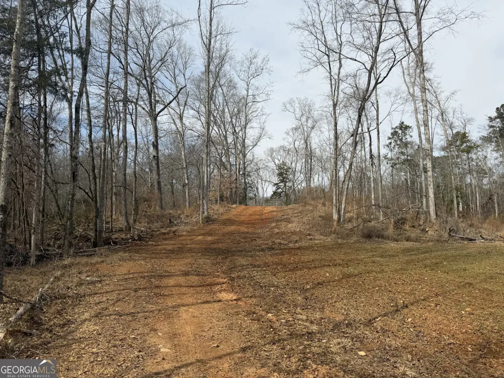 275 Emma Cooper RD Carlton, GA 30627