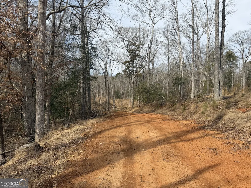 275 Emma Cooper RD Carlton, GA 30627