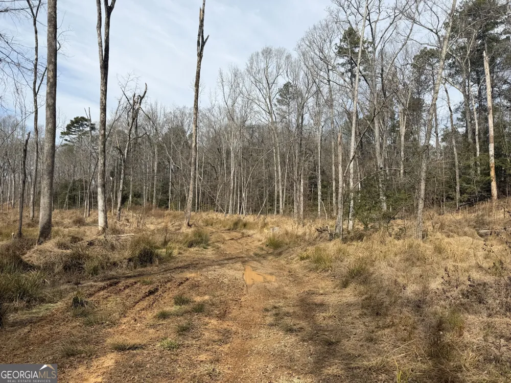 275 Emma Cooper RD Carlton, GA 30627
