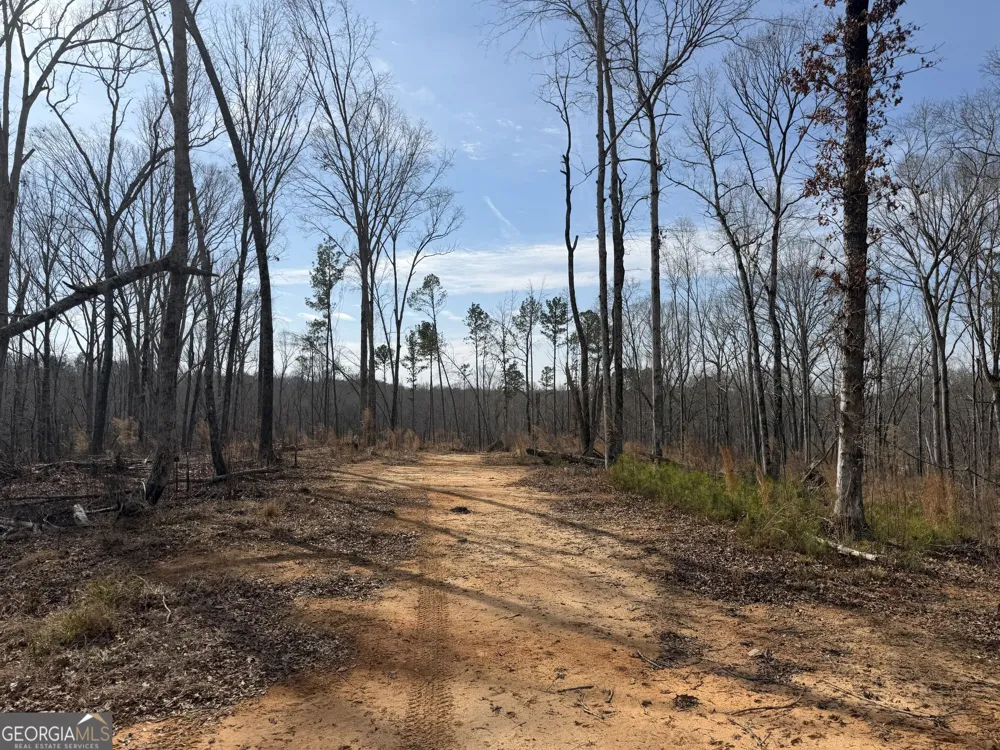 275 Emma Cooper RD Carlton, GA 30627