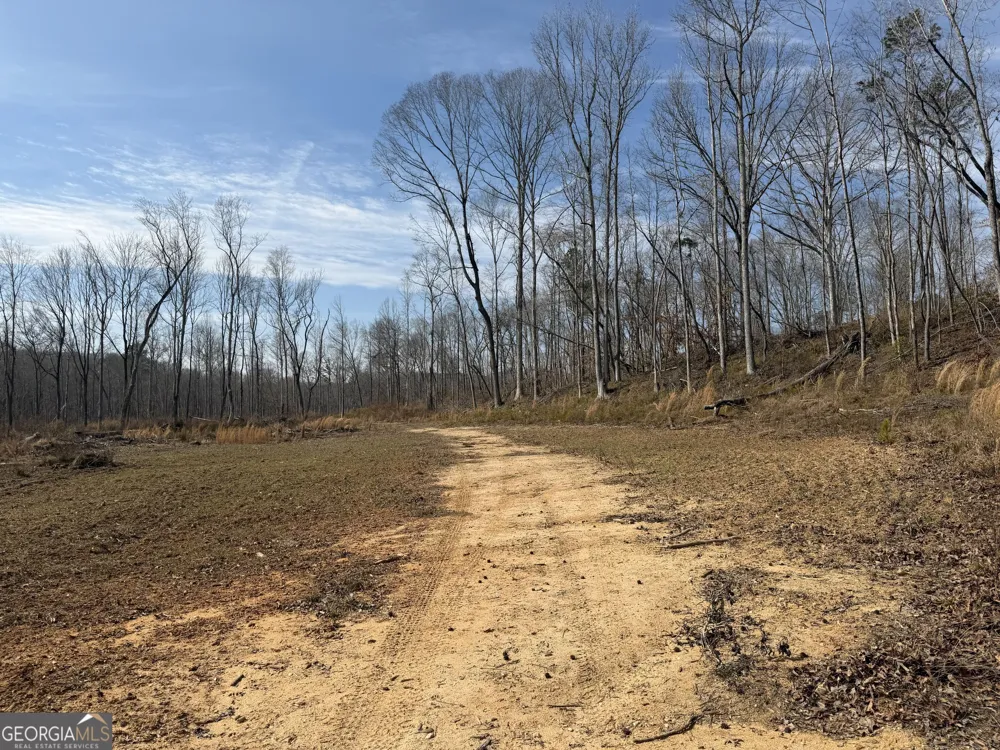 275 Emma Cooper RD Carlton, GA 30627