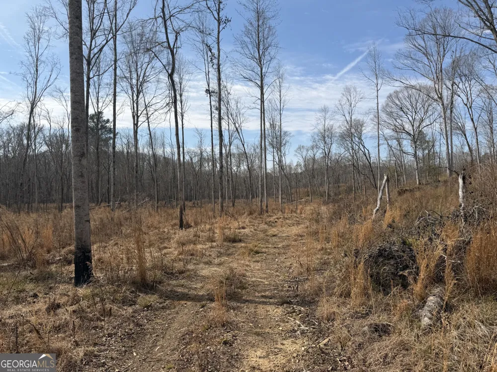 275 Emma Cooper RD Carlton, GA 30627