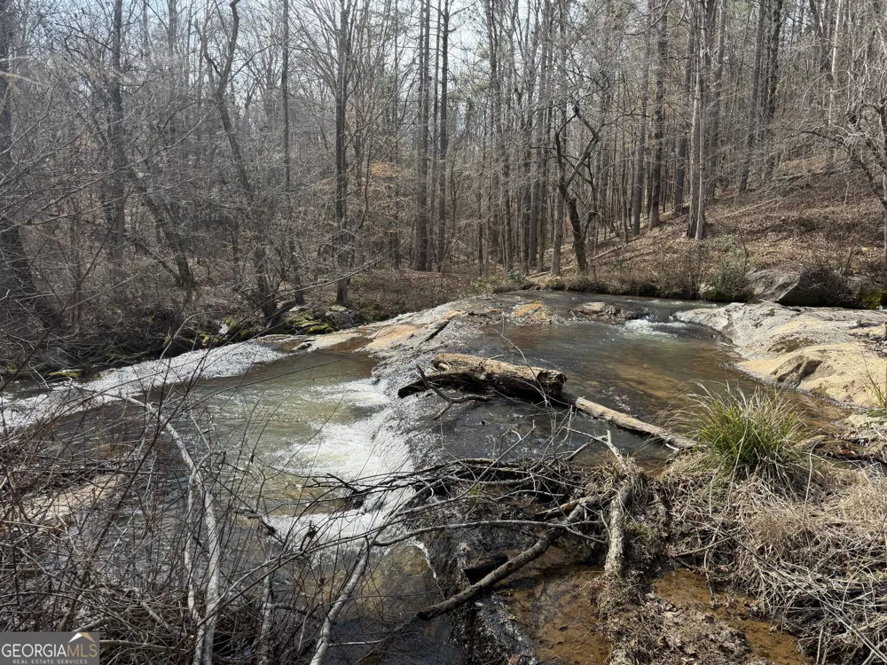 275 Emma Cooper RD Carlton, GA 30627