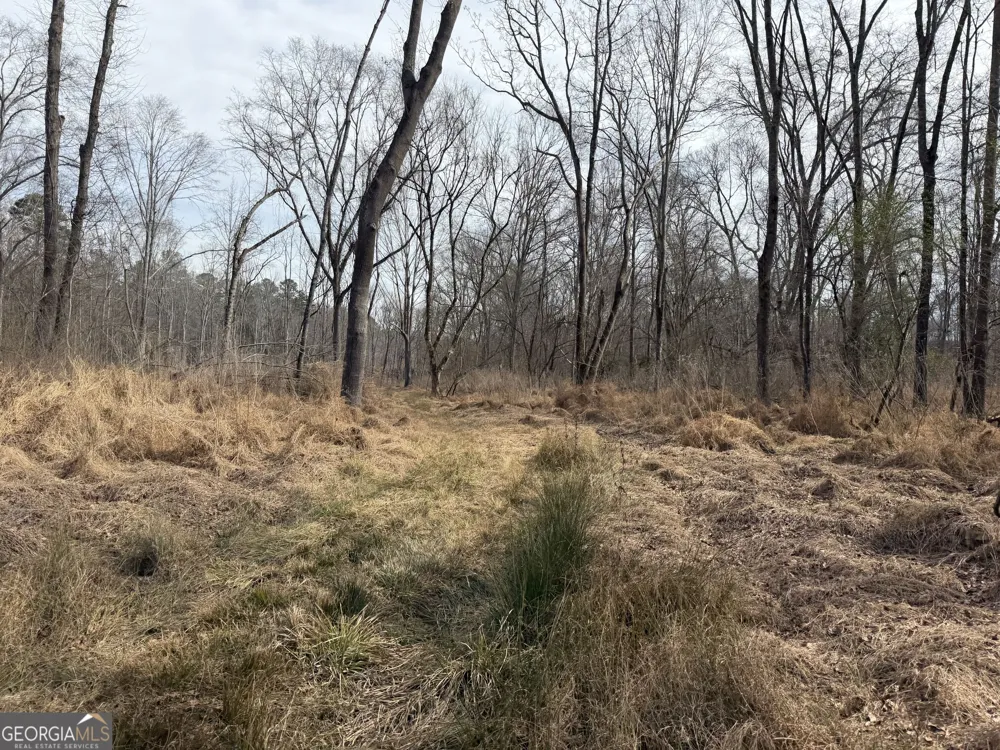 275 Emma Cooper RD Carlton, GA 30627