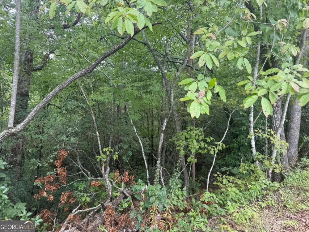 0 Bethabara VW Hayesville, NC 28904