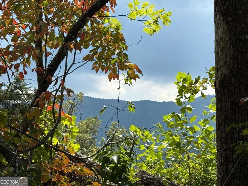 0 Bethabara VW Hayesville, NC 28904