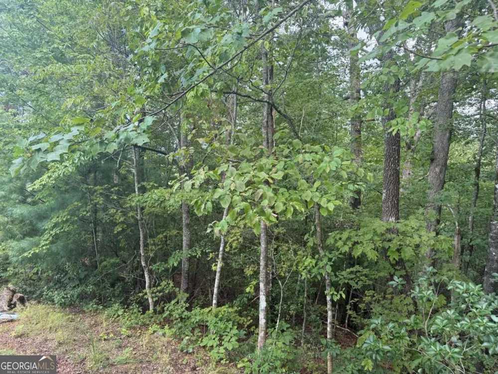 0 Bethabara VW Hayesville, NC 28904