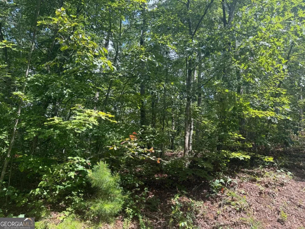 0 Bethabara VW Hayesville, NC 28904