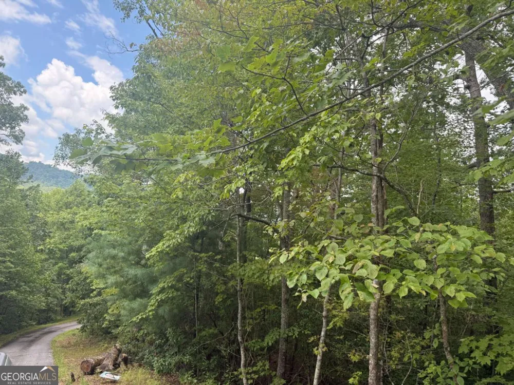 0 Bethabara VW Hayesville, NC 28904