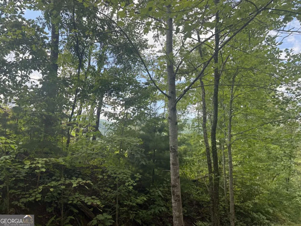 0 Bethabara VW Hayesville, NC 28904
