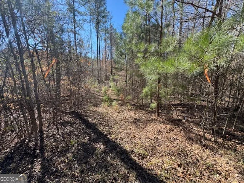 0 Brown Creek RD Shiloh, GA 31826
