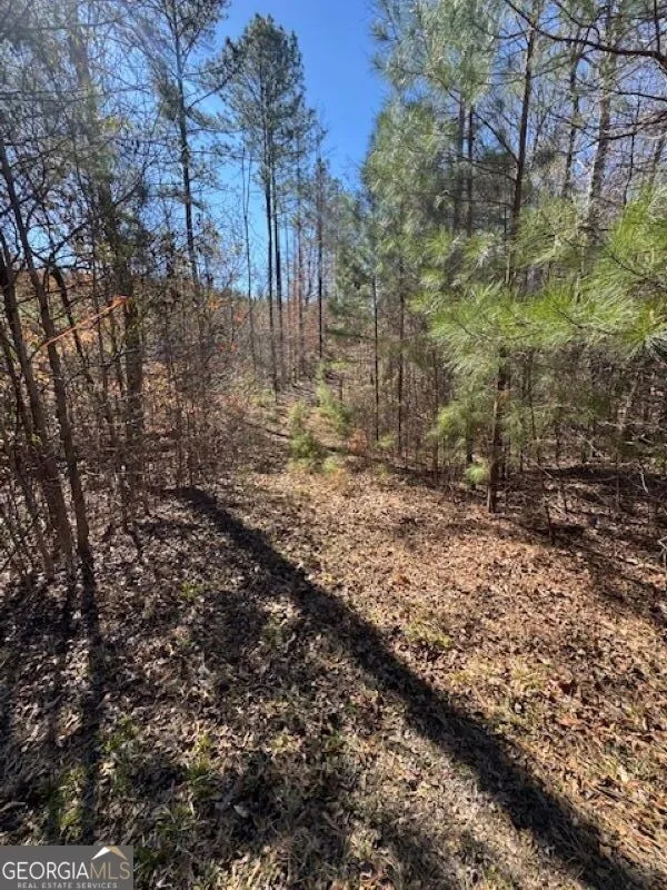 0 Brown Creek RD Shiloh, GA 31826