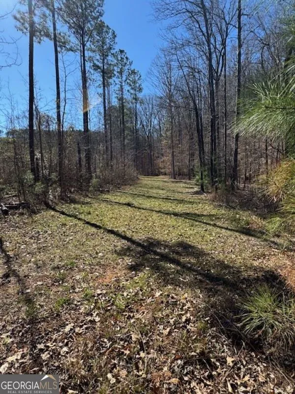 0 Brown Creek RD Shiloh, GA 31826