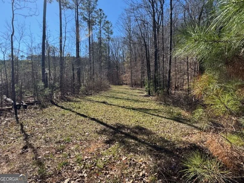 0 Brown Creek RD Shiloh, GA 31826