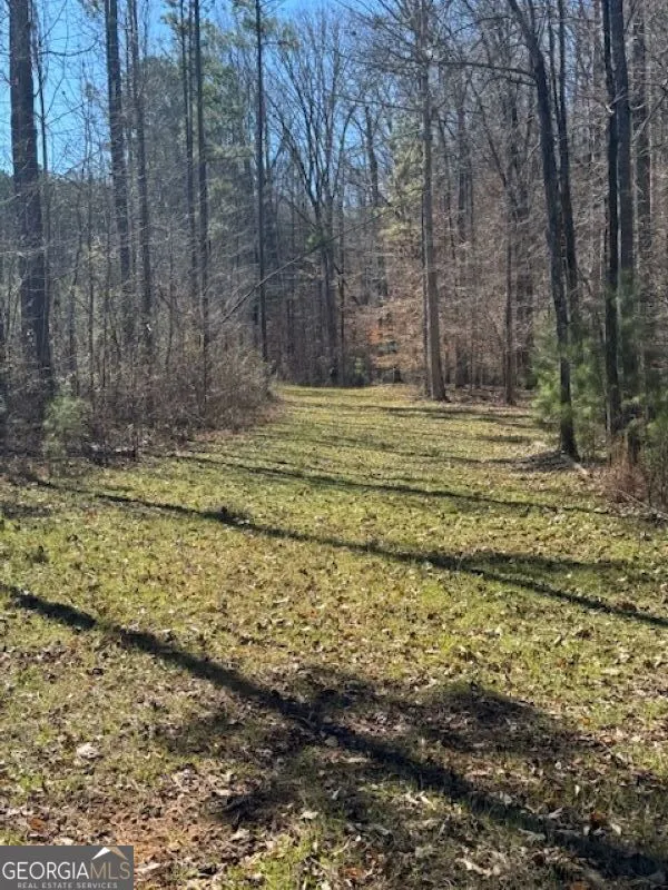 0 Brown Creek RD Shiloh, GA 31826