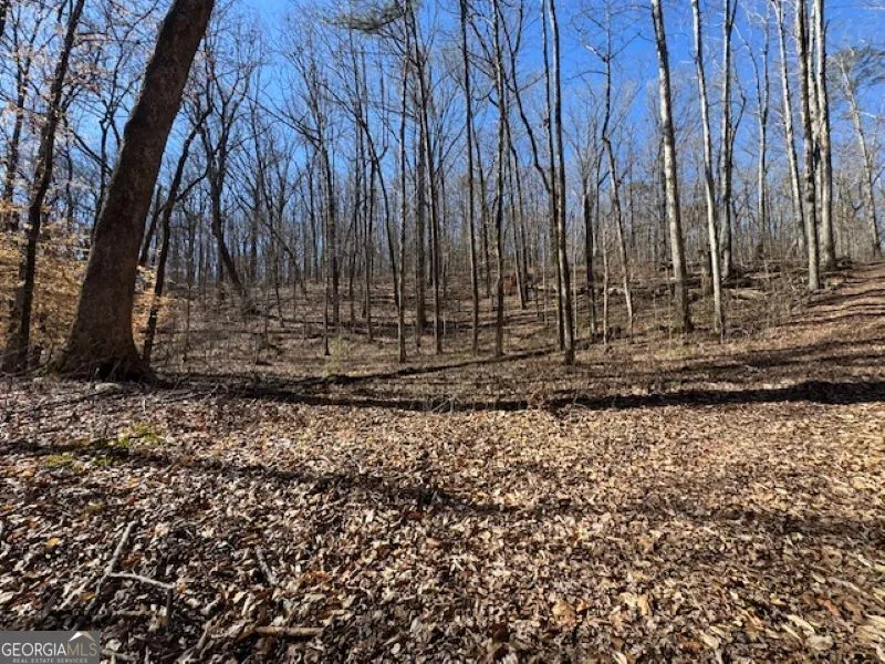0 Brown Creek RD Shiloh, GA 31826