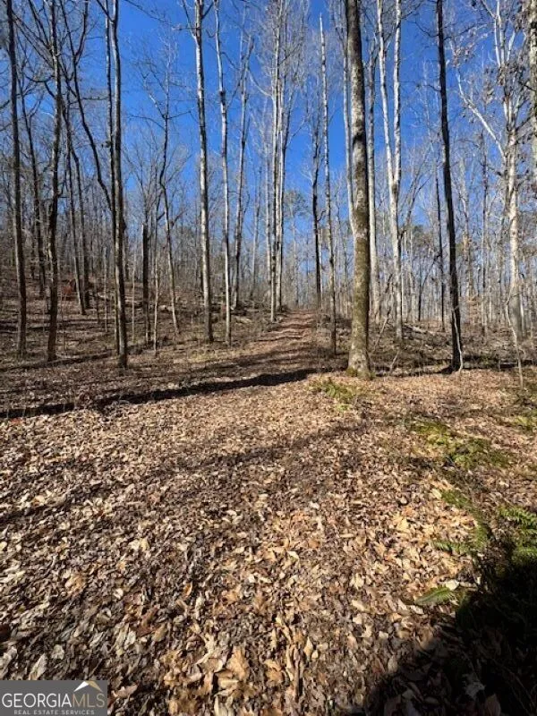 0 Brown Creek RD Shiloh, GA 31826