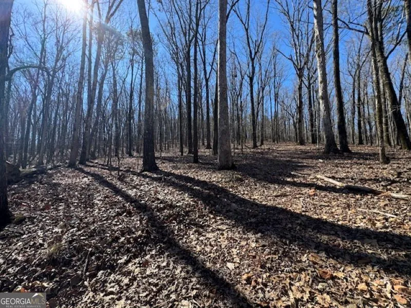 0 Brown Creek RD Shiloh, GA 31826