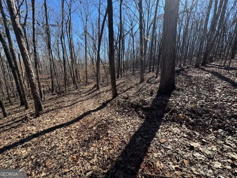0 Brown Creek RD Shiloh, GA 31826