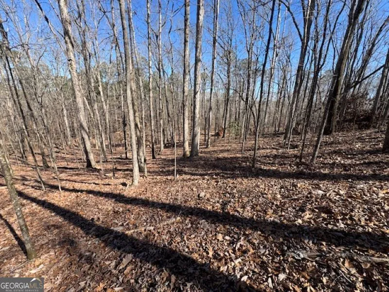 0 Brown Creek RD Shiloh, GA 31826