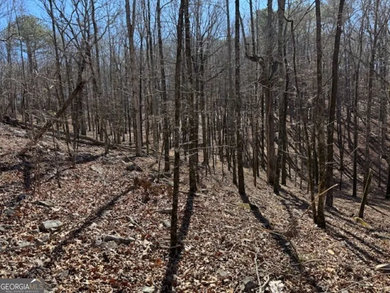 0 Brown Creek RD Shiloh, GA 31826