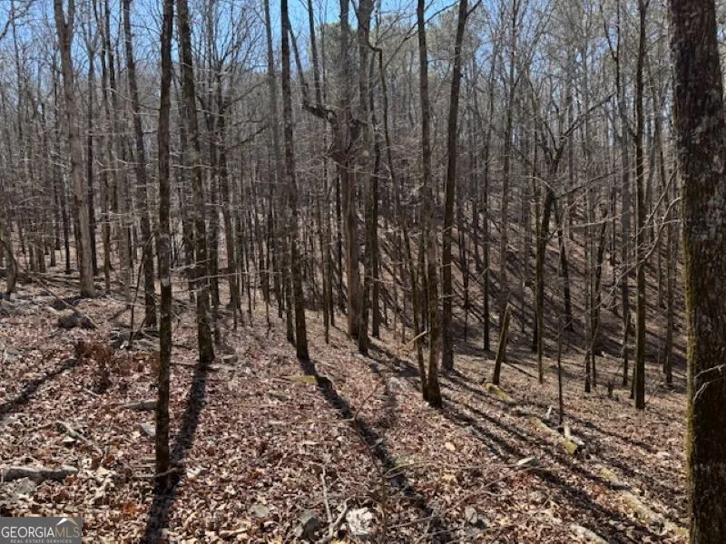 0 Brown Creek RD Shiloh, GA 31826