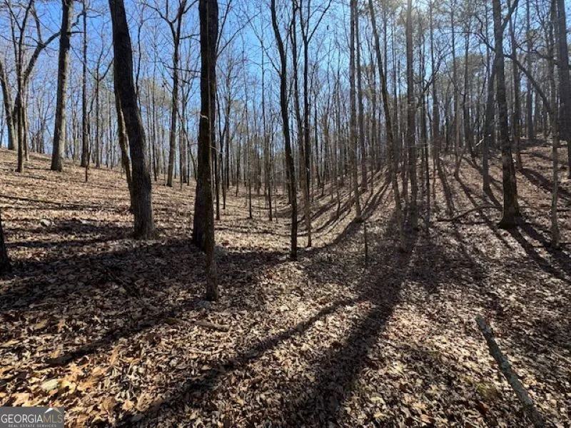 0 Brown Creek RD Shiloh, GA 31826