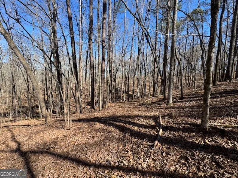 0 Brown Creek RD Shiloh, GA 31826