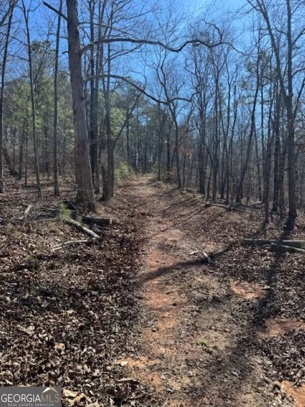 0 Brown Creek RD Shiloh, GA 31826