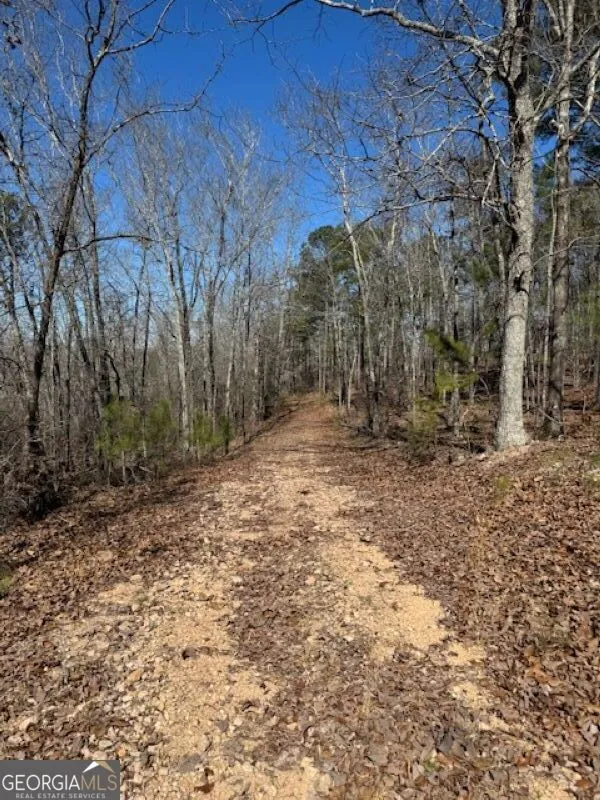 0 Brown Creek RD Shiloh, GA 31826