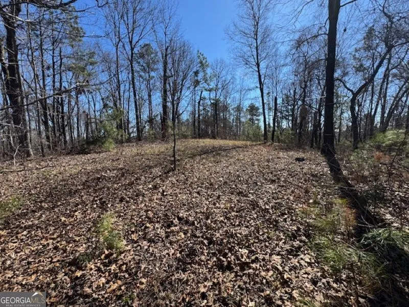 0 Brown Creek RD Shiloh, GA 31826