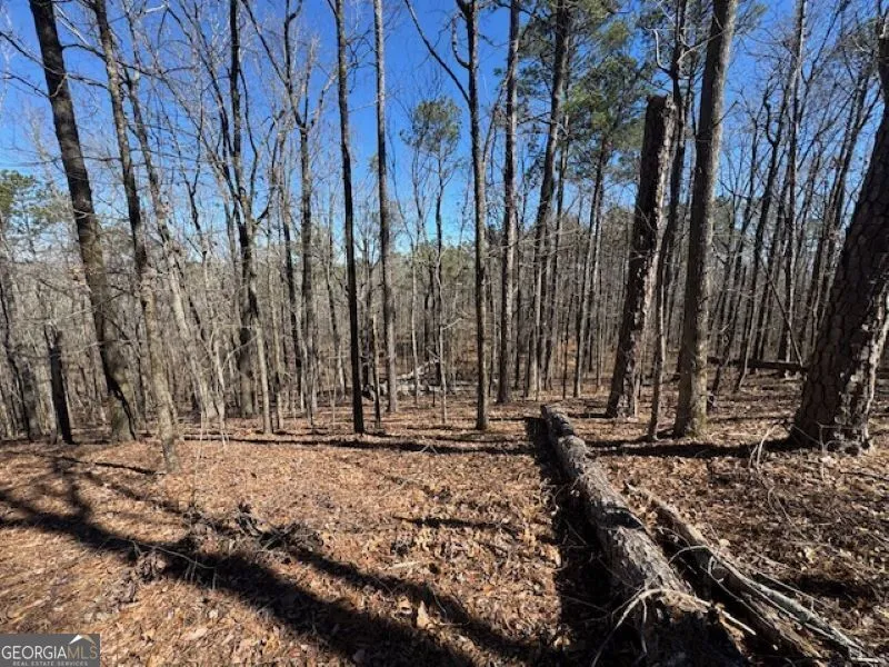 0 Brown Creek RD Shiloh, GA 31826