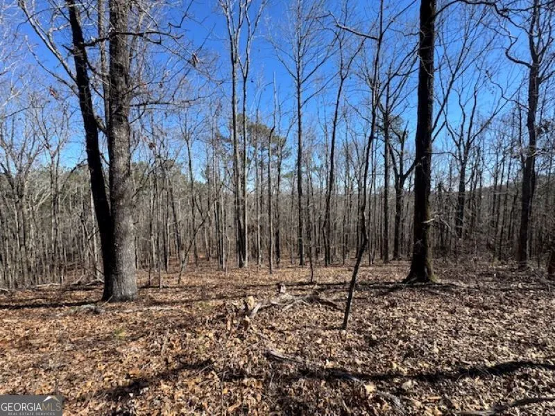 0 Brown Creek RD Shiloh, GA 31826