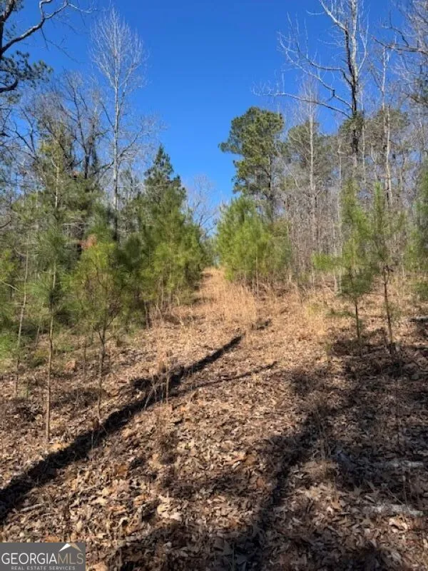 0 Brown Creek RD Shiloh, GA 31826