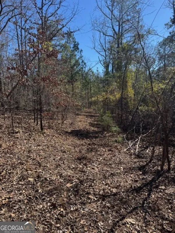 0 Brown Creek RD Shiloh, GA 31826