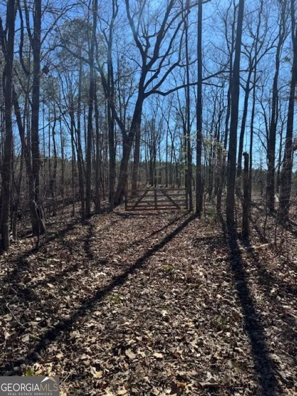 0 Brown Creek RD Shiloh, GA 31826
