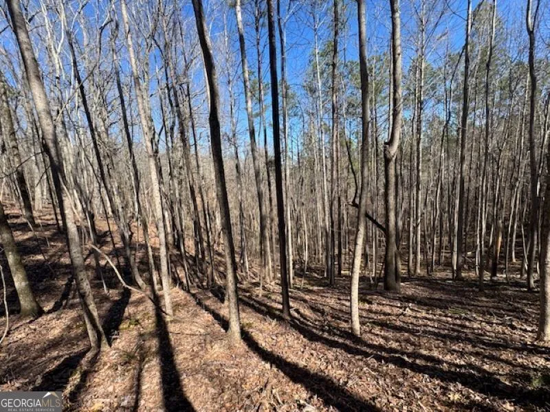 0 Brown Creek RD Shiloh, GA 31826